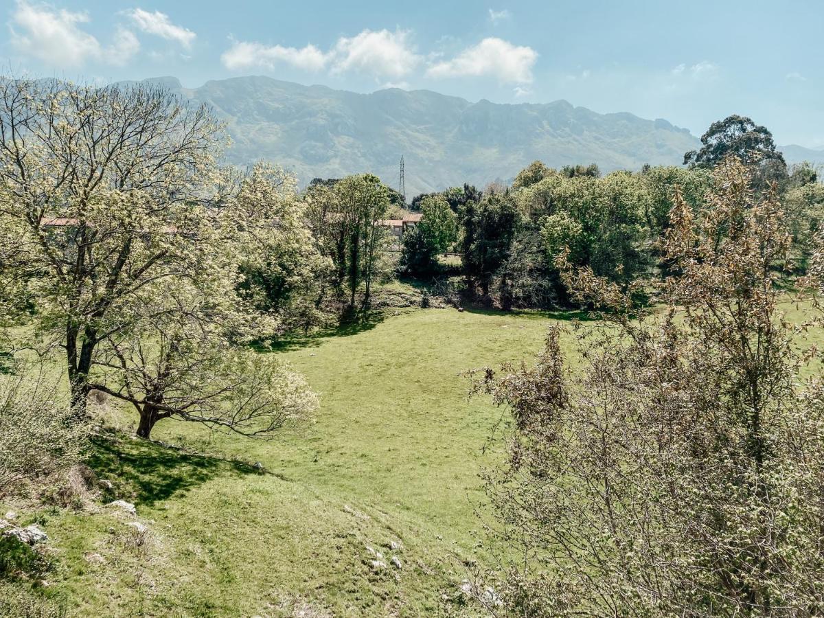 Hostal Bella Kalma, acogedora casa con parking, jardin y wifi Llanes Exterior foto
